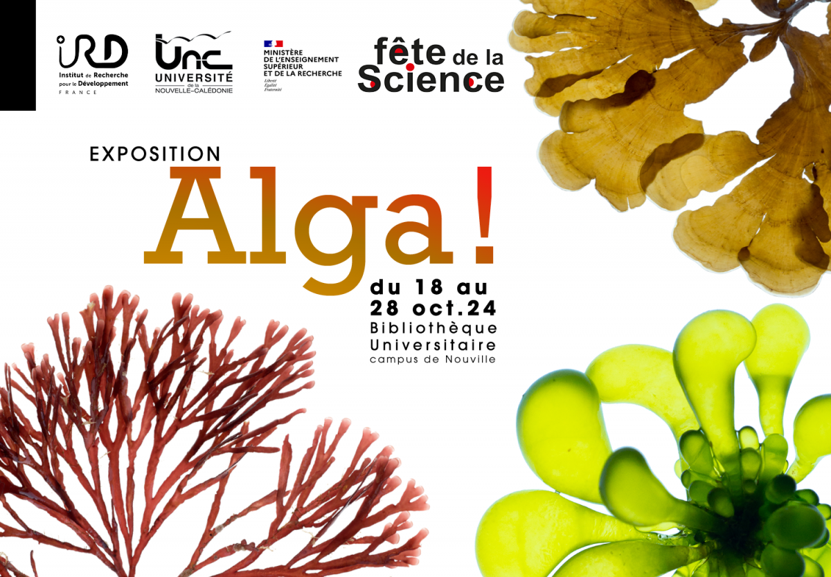 Alga!
