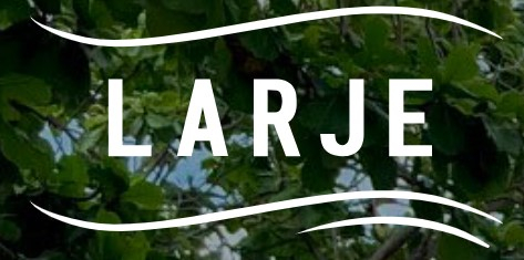 Larje : portail des sciences juridiques et économiques