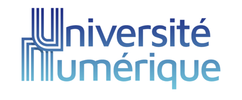 Les Universités Numériques Thématiques (UNT)