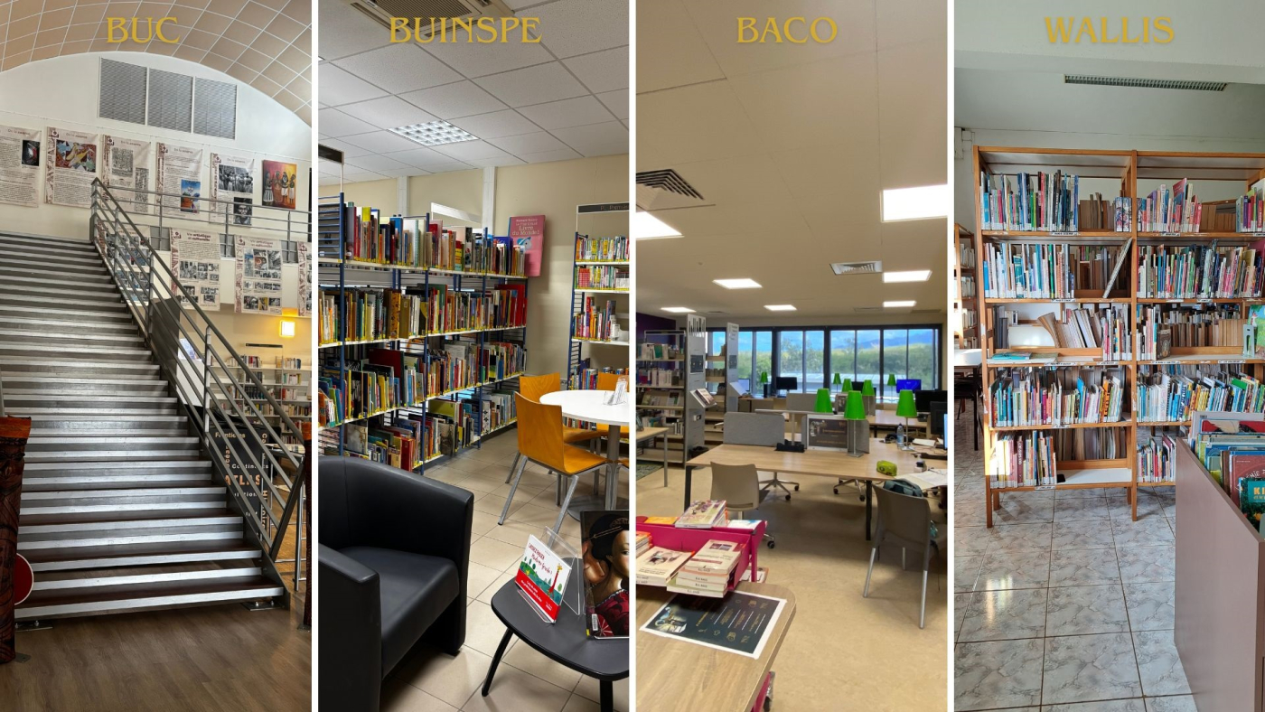Panorama des bibibliothèques