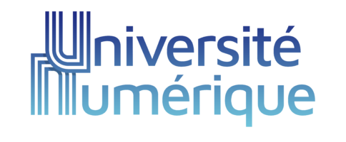 Les Universités Numériques Thématiques (UNT)