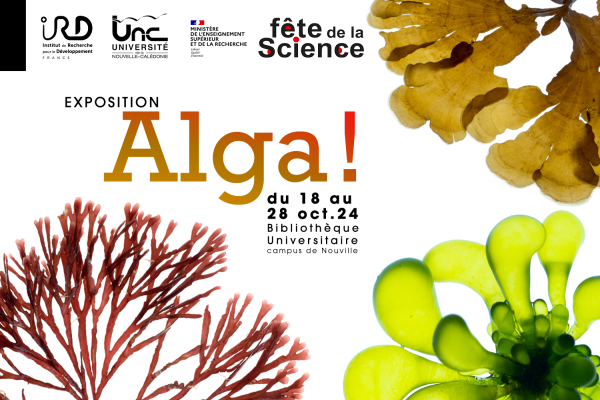Alga!